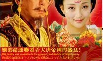 秘史在线观看,揭秘历史尘埃中的传奇故事