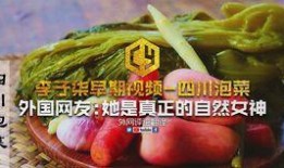酸菜早期爆料视频大全集,揭秘幕后真相与精彩瞬间