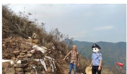 桂平山火灾最新爆料,火势控制与救援行动纪实