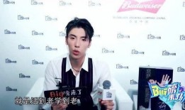 王子兄弟爆料视频大全,揭秘幕后故事与兄弟情深