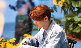 鹿晗新歌爆料视频在线观看