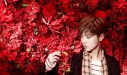 鹿晗新歌爆料视频在线观看