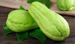 网红吃佛手瓜视频播放,视频播放量爆表，网友热议口感与营养