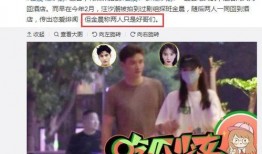 今日娱乐爆料金世佳视频