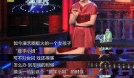 爆料福州二小姐视频大全,揭秘网络红人的魅力瞬间