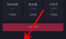 爆料视频顶置什么意思,爆料视频顶置背后的秘密与影响