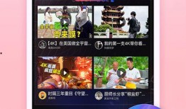 爆料王胖的视频大全下载,热门内容盘点与精彩瞬间回顾