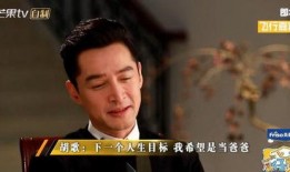 隐婚男星爆料视频,幕后真相与情感纠葛大曝光