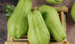 网红吃佛手瓜视频播放,视频播放量爆表，网友热议口感与营养